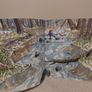 The Wild Woods Storybook By Simon James Image 6