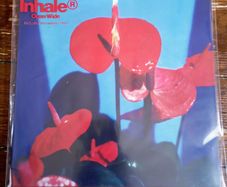 Inhaler Open Wide RED MARBLE vinyl