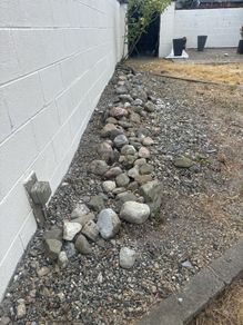 rocks