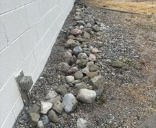 rocks