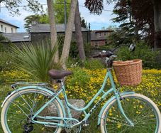 Raleigh Willow Ladies Bike Excellent Condition Size L