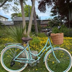Raleigh Willow Ladies Bike Excellent Condition Size L