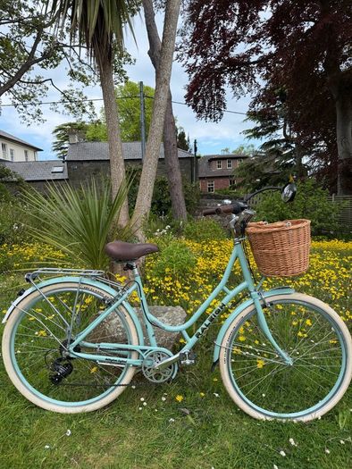 Raleigh Willow Ladies Bike Excellent Condition Size L