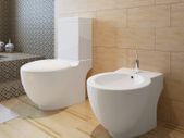 Stand Toilet & Bidet Set White Ceramic