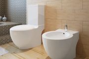 Stand Toilet &amp; Bidet Set White Ceramic