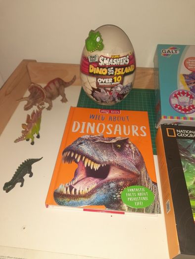 Dinosaur Activity & Toy Bundle  20e for the lot