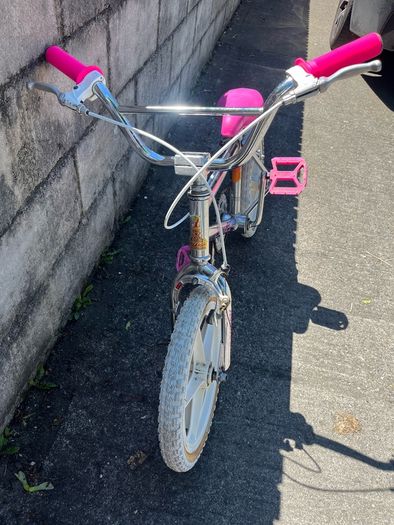 raleigh burner kids bike