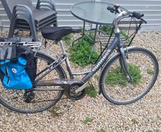 Adult bicycle