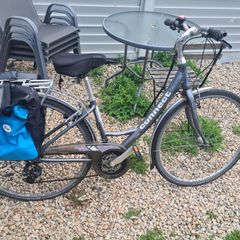 Adult bicycle