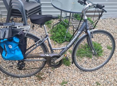 Adult bicycle