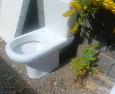 toilet and basin