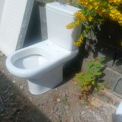 toilet and basin