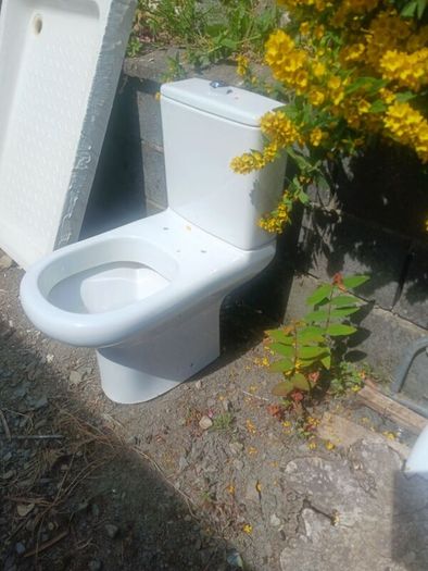 toilet and basin