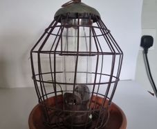 bird feeder