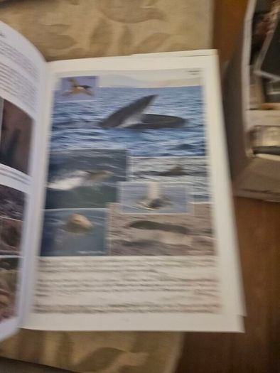 Wexford's Wild Heritage. By Alan Maguire- Christopher J. Wilson- Don Conroy. First Edition Large Volume Hardback With Dustjacket In Good Condition.  See Photos For Same.