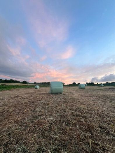 42 Bales of Haylage, Not chopped, good for horses