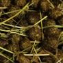 Organic rabbit compost for organic gardening 2 bags Image 4