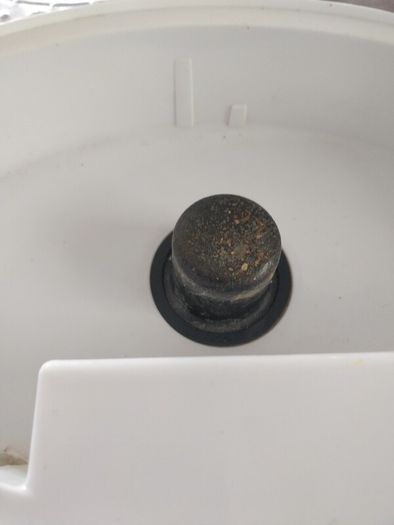 Electric steamer