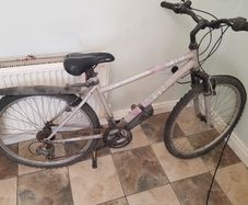 Bike for free