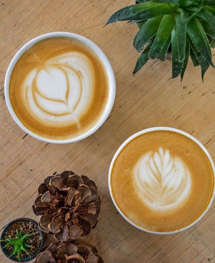 Specialty Guatemalan Coffee - Exclusive Batch