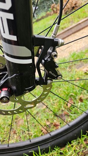 On One Scandal small 29er