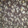 ladies dress Image 5
