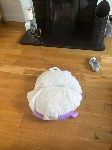 Childs Sleeping Bag