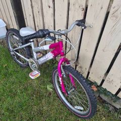 free childs Raleigh bike