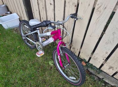 free childs Raleigh bike