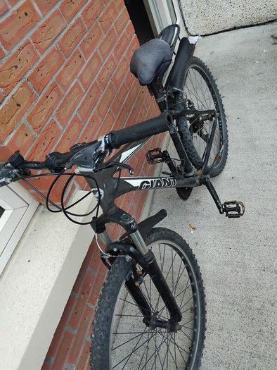 giant bike