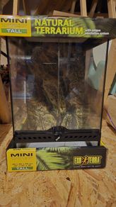 Exo Terra glass natural terrarium 30 X 30 X 45 cm