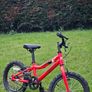 Ridgeback MX16 Image 2