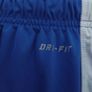 Nike Dri-Fit Shorts ((Adult L)) Image 8