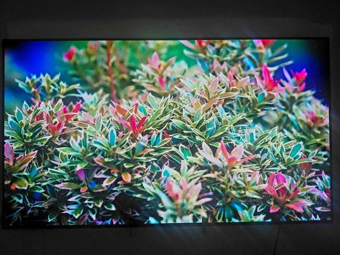 55 inch lg oled tv