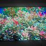 55 inch lg oled tv Image 4