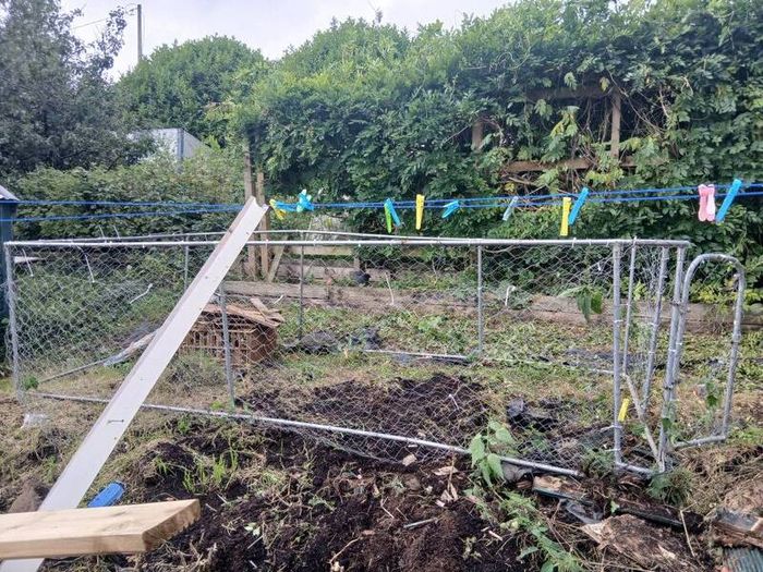 dog/ chicken  run