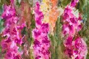 foxglove way watercolour