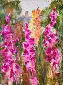 foxglove way watercolour