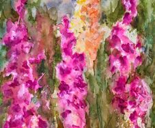 foxglove way watercolour