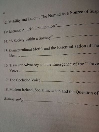 Irish Travellers / Representations & Realities / Dr. Michael Hayes /1st ed. 2006
