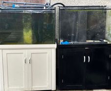 fish tank 300L plus sump 150 each