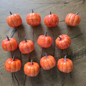 12 pumpkin picks - Halloween Autumn