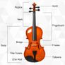4/4 Violin Maple Wood Full Set of Accessories Storage Box, Orange Image 3