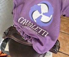 Horse saddle cavaletti collection, girt, stirrups