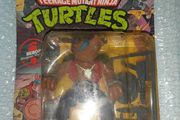 Teenage Mutant Ninja Turtles figure