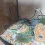 fish tank Image 3