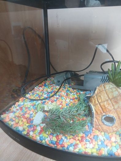 fish tank