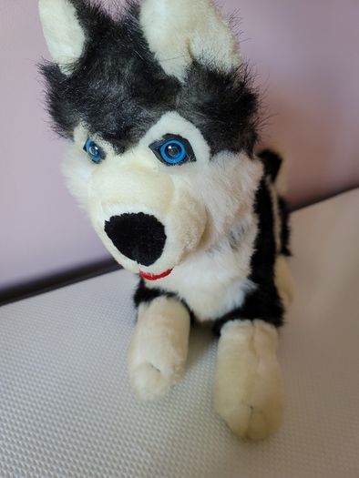 Large Husky Soft Toy Teddy Bear Plush Great Condition