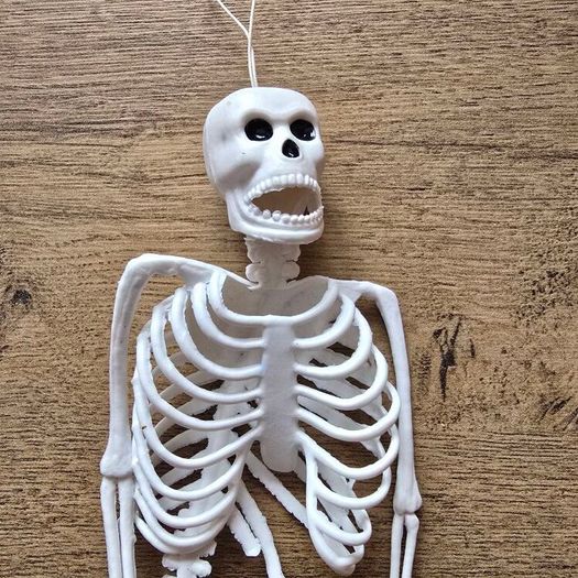 Rubber mini skeleton 30cm