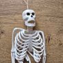 Rubber mini skeleton 30cm Image 5